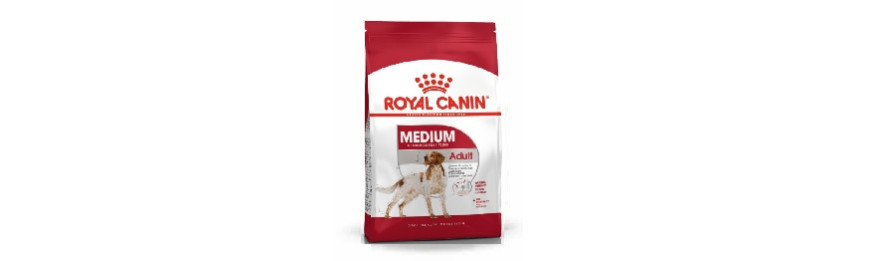 雙11優惠 Royal Canin 犬隻系列